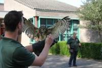 Valkenier tijdens Lentefeest De Buitenhof
