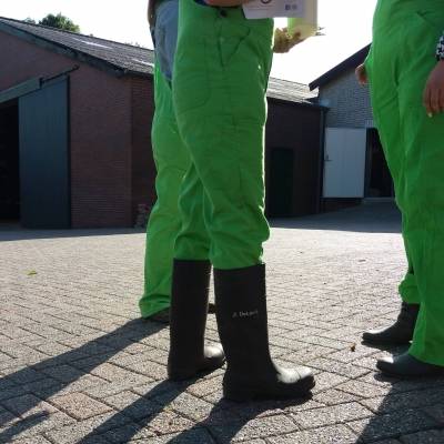 IZEO-leerlingen werken mee op de boerderij